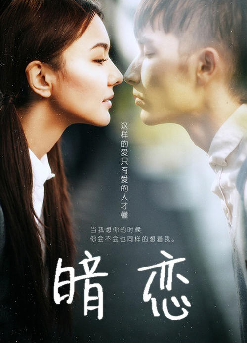 高等学校学历认证报告